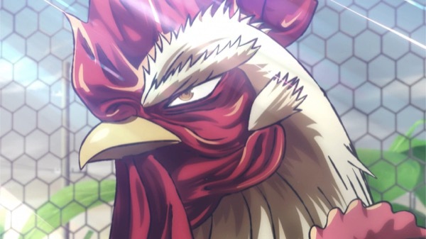 ニワトリ・ファイター 第1話