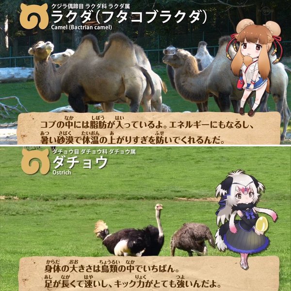 けものフレンズ 第6話 再 感想 相手の気持に答えるライオンさん サンドスターの消耗激しそう ページ 5